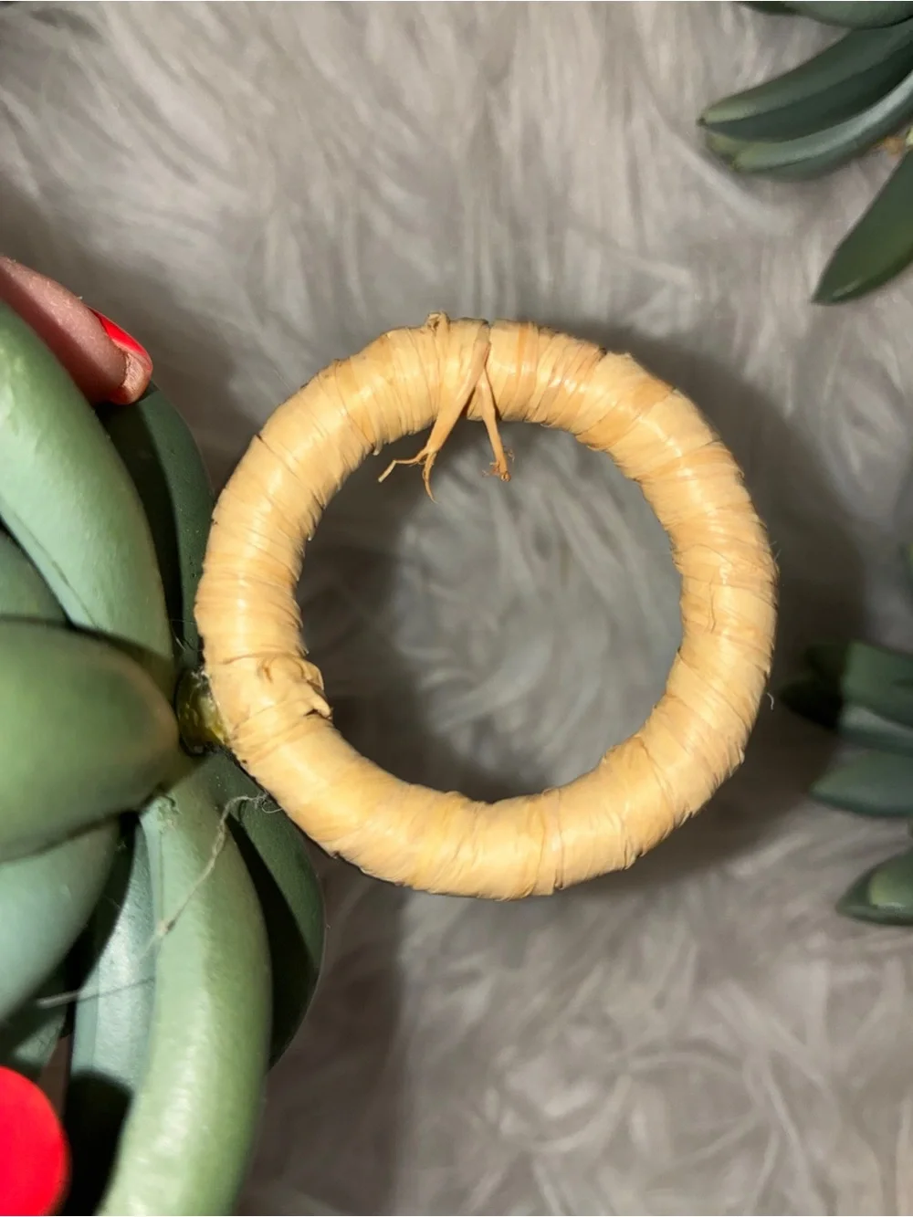 Pottery Barn Succulent green napkin rings set 8
